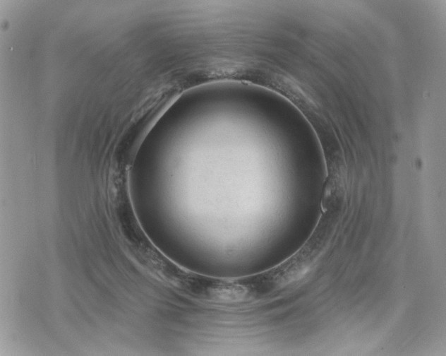 X0000076300215200609291044