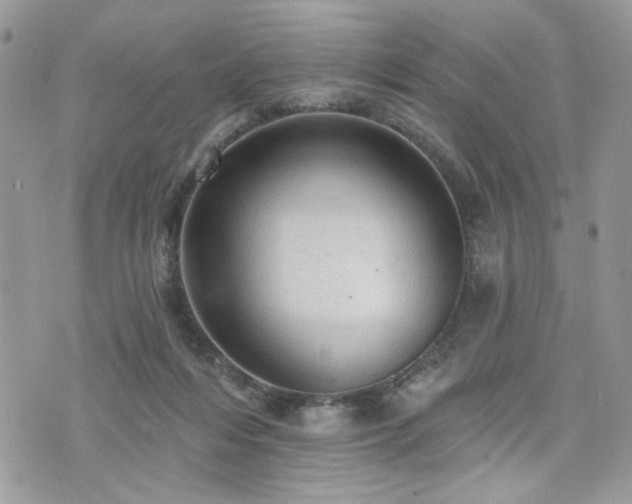 X0000076300216200609291044