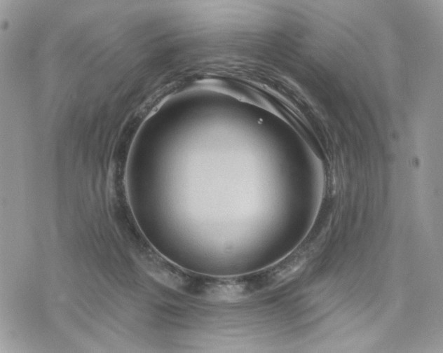 X0000076300217200609291044