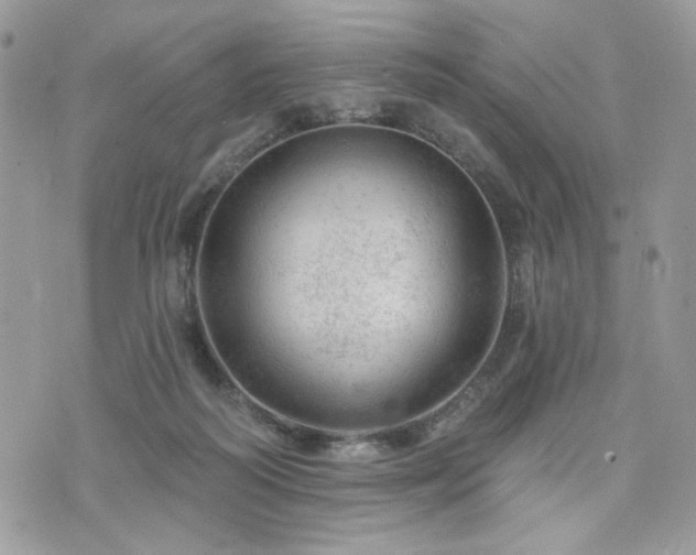 X0000076300218200609291044