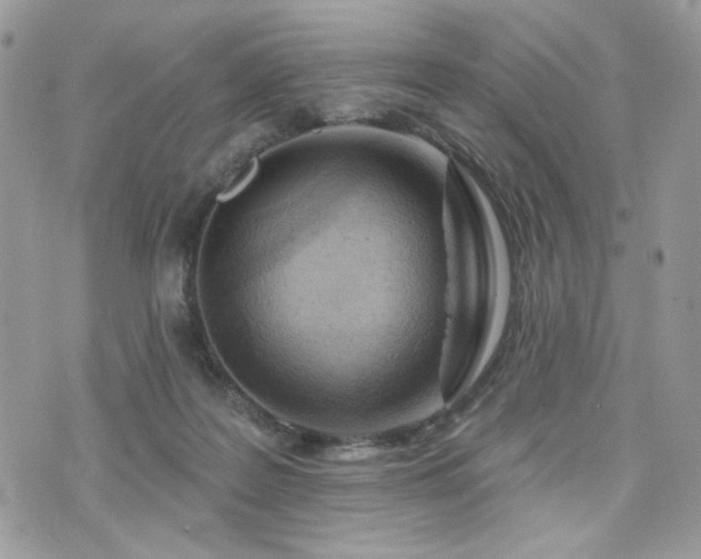 X0000076300219200609291044