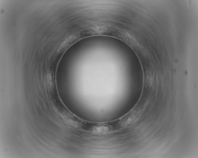 X0000076300220200609291044