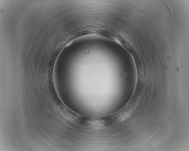 X0000076300221200609291044