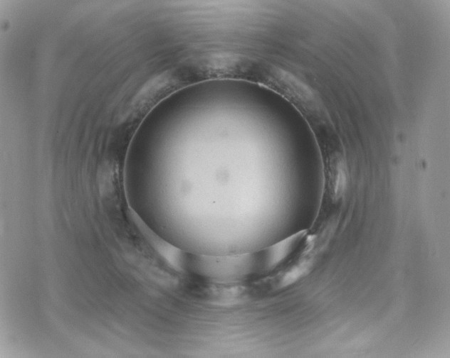 X0000076300225200609291044