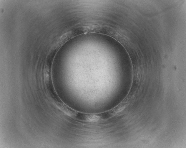 X0000076300226200609291044