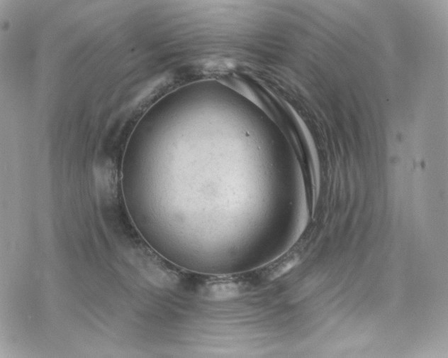 X0000076300228200609291044