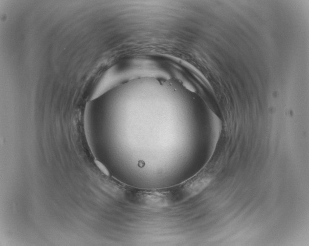 X0000076300229200609291044