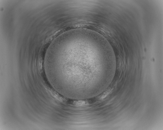 X0000076300230200609291044