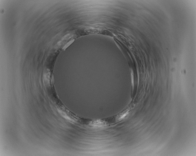 X0000076300231200609291043