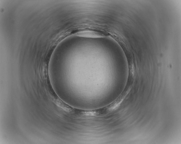 X0000076300233200609291043