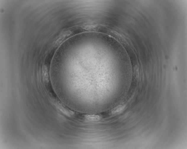 X0000076300234200609291043