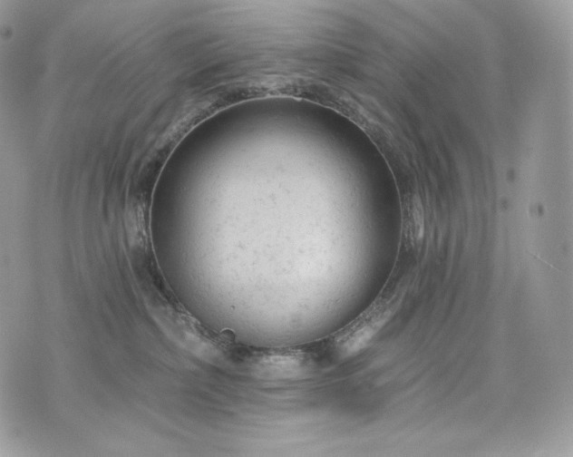 X0000076300236200609291043