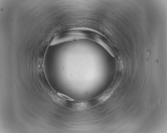 X0000076300237200609291043