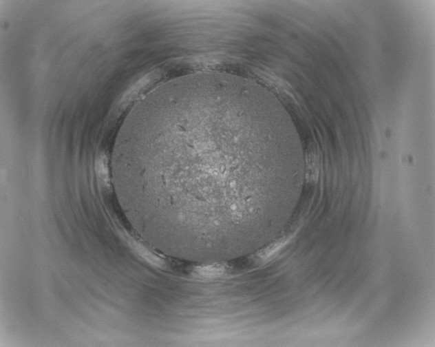 X0000076300238200609291043