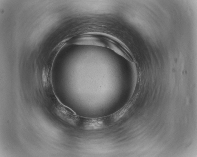 X0000076300239200609291043