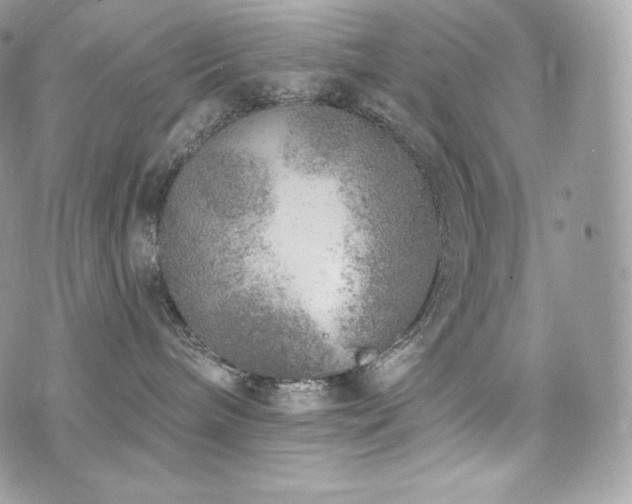 X0000076300240200609291043