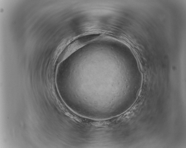 X0000076300241200609291043