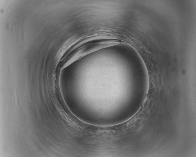 X0000076300242200609291043