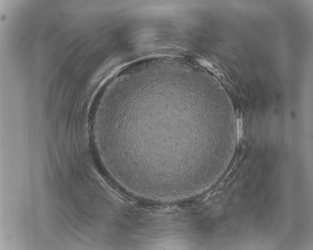 X0000076300243200609291043