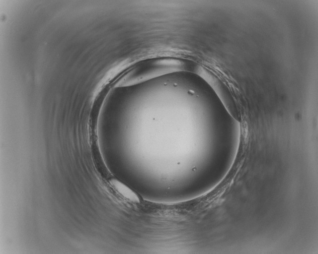 X0000076300244200609291043