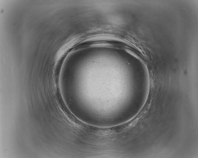 X0000076300245200609291043