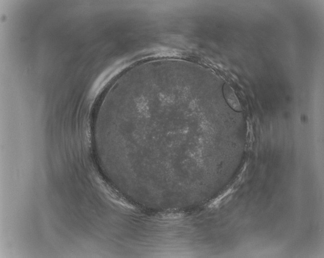 X0000076300247200609291043