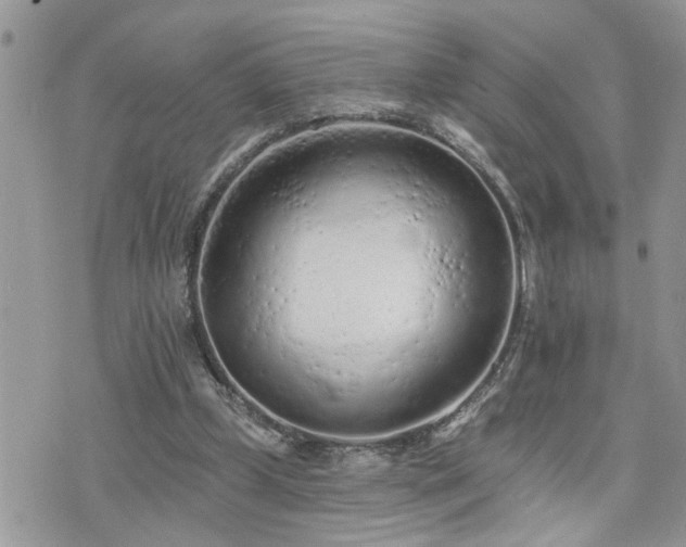 X0000076300249200609291043