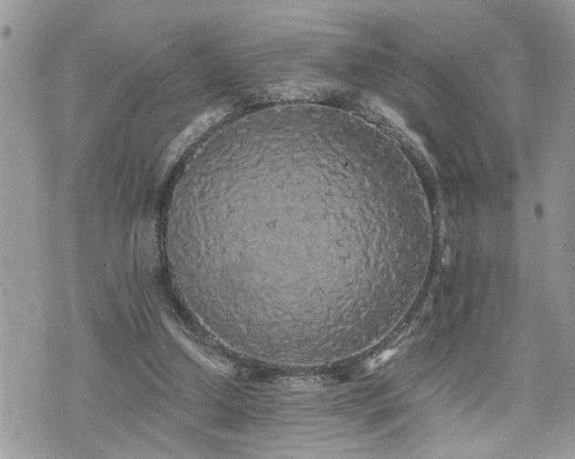 X0000076300250200609291043