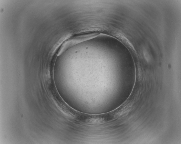 X0000076300251200609291043