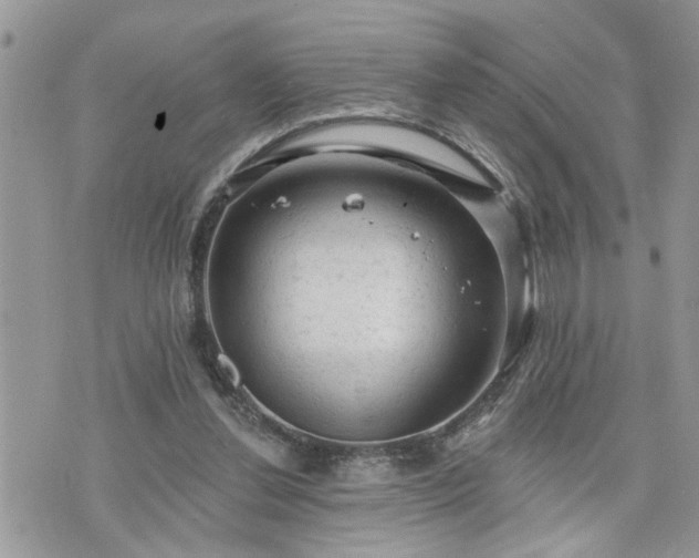 X0000076300252200609291043