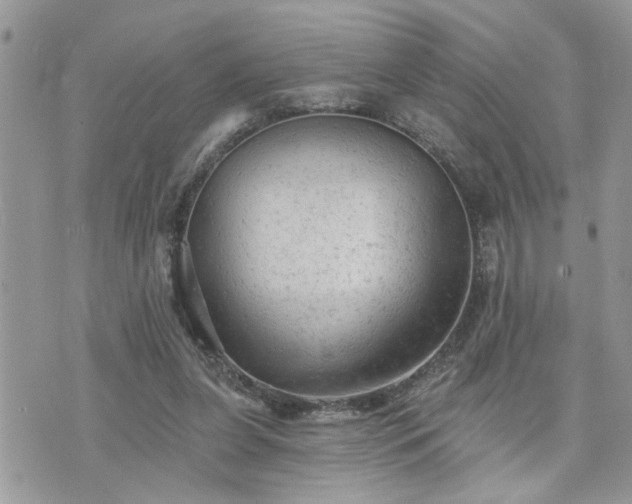 X0000076300255200609291043