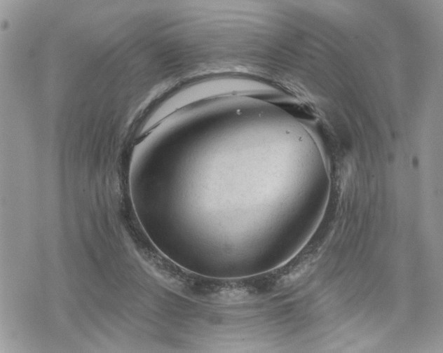 X0000076300256200609291043