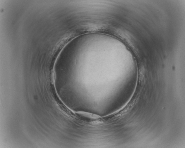 X0000076300257200609291043