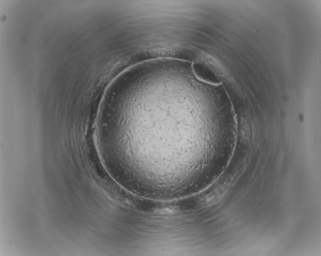 X0000076300259200609291043