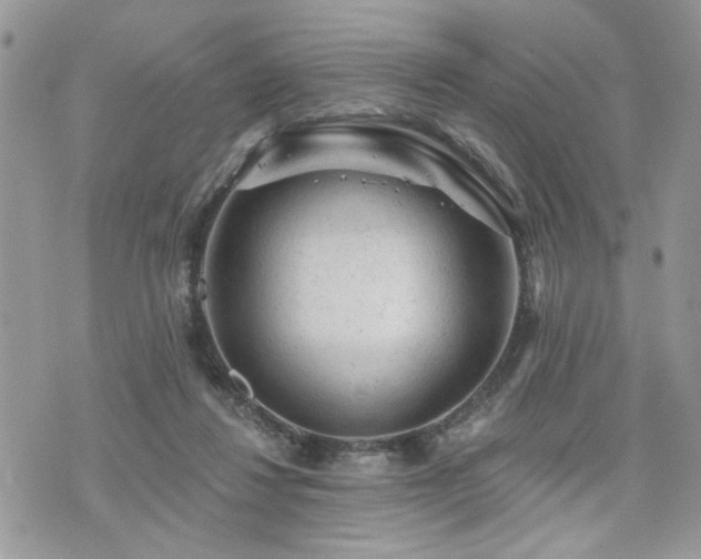 X0000076300260200609291043