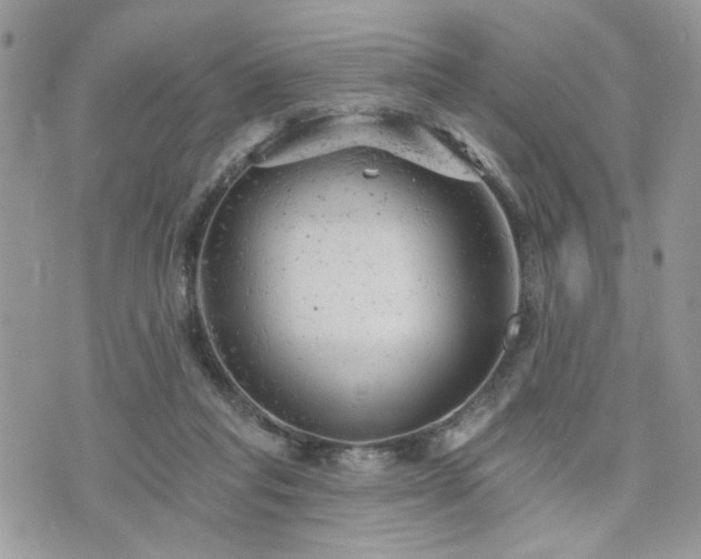 X0000076300261200609291043