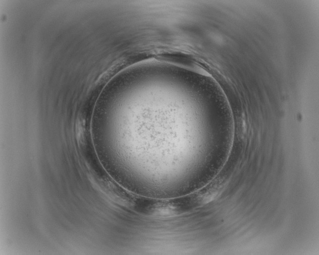 X0000076300263200609291043