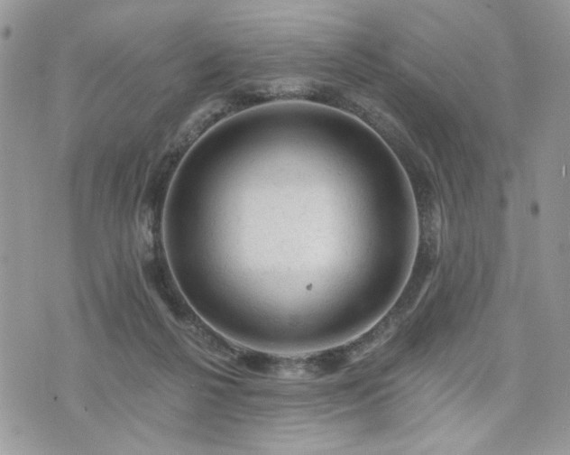 X0000076300264200609291043