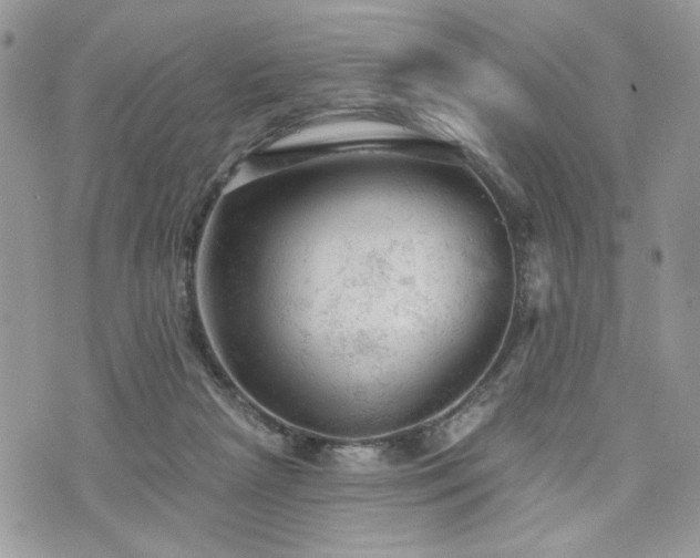 X0000076300265200609291043