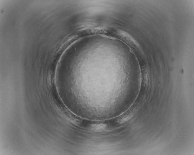 X0000076300266200609291043