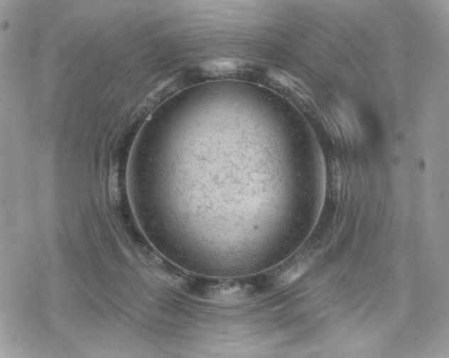 X0000076300267200609291043