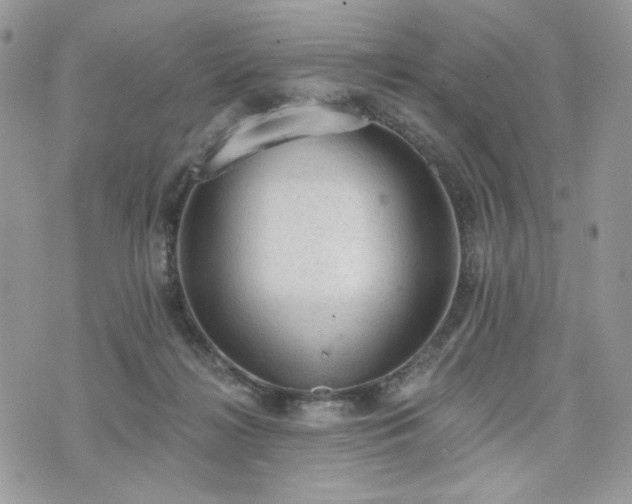 X0000076300268200609291043