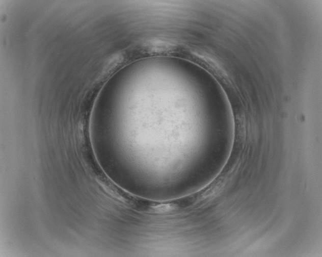 X0000076300269200609291043