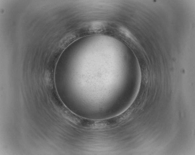 X0000076300270200609291043