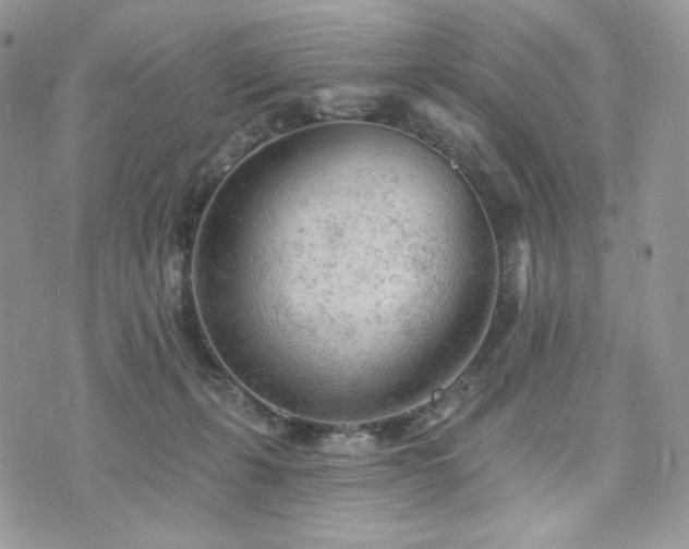 X0000076300271200609291043