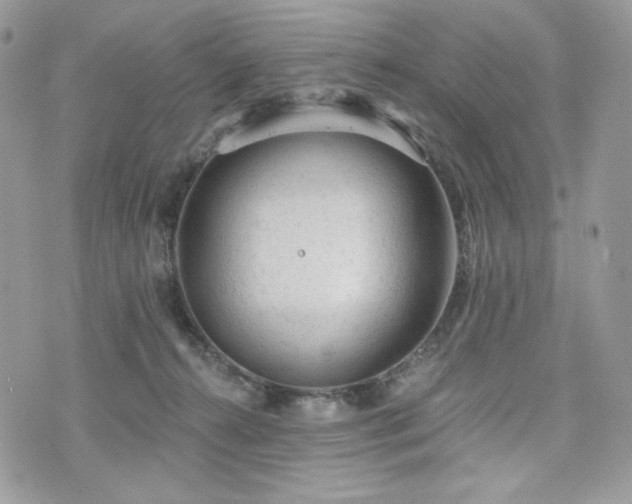 X0000076300272200609291043