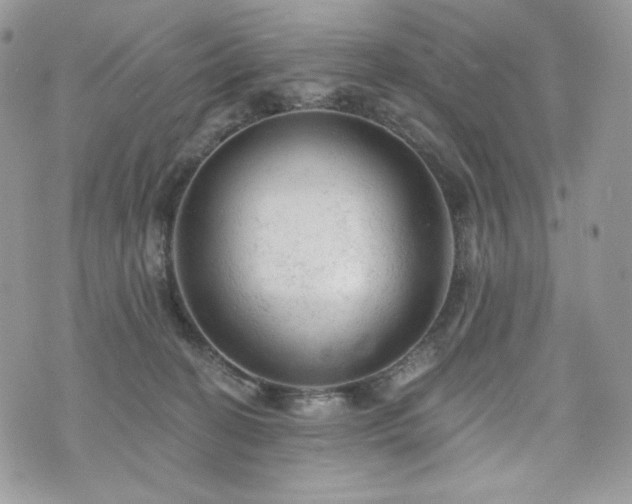 X0000076300274200609291043