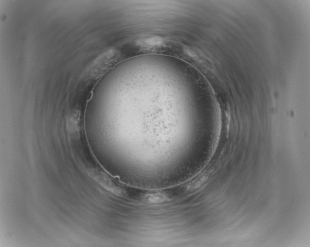 X0000076300275200609291043