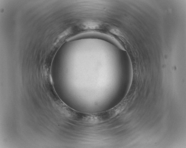 X0000076300276200609291043