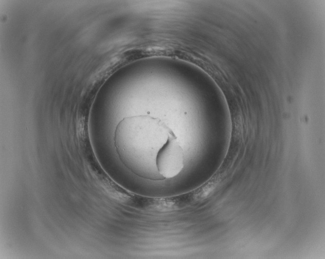 X0000076300278200609291043